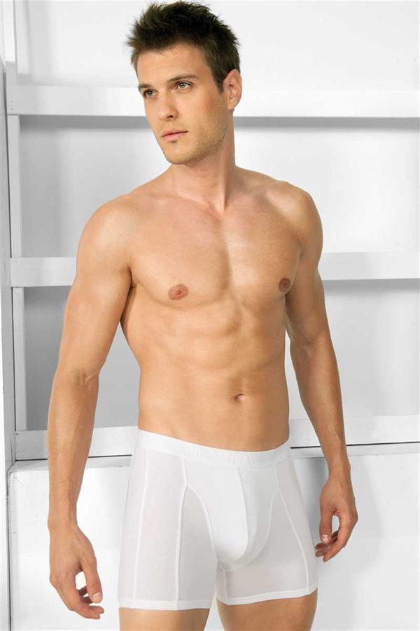 Erkek Modal Klasik Boksör (1755)