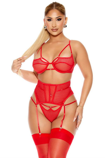 Arias Dolap Fantezi Dosya Tül Detaylı Kırmızı Jartiyer Takım