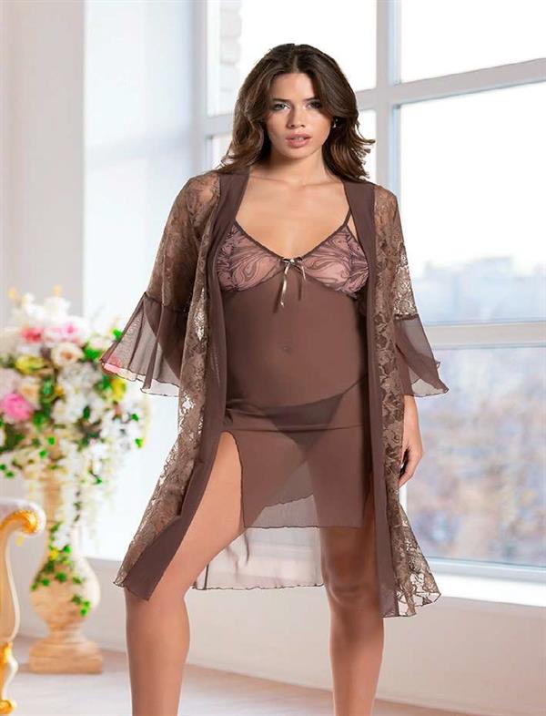 Arias Dolap Haki Transparan Dantel İşlemeli Tül Yırtmaçlı 2'li Gecelik Takımı 